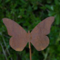 farfalla apollo