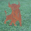 toro